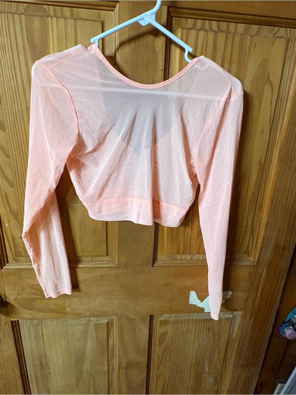 Under Armour Peach Sheer Long-Sleeve Crop Top